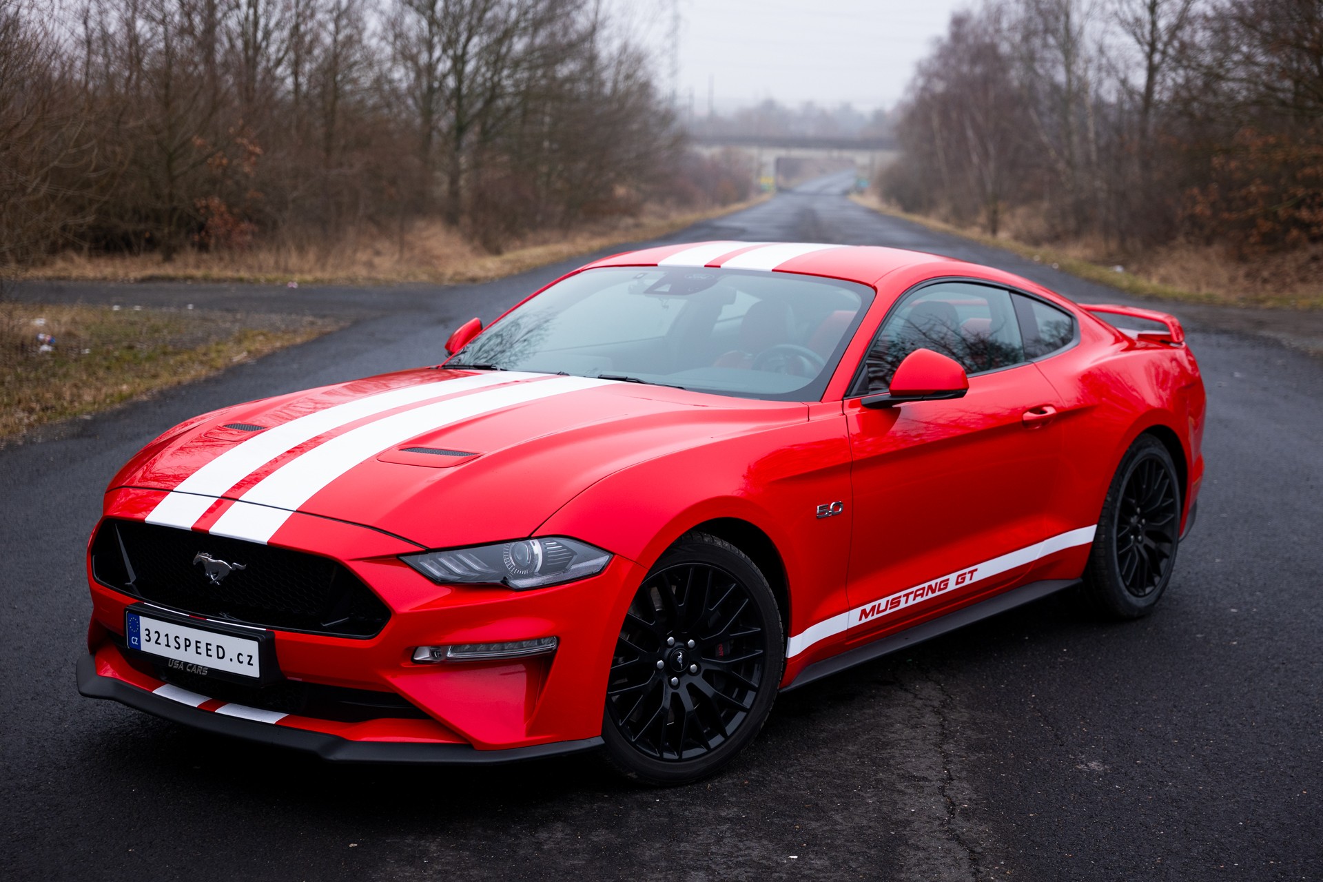 Ford Mustang GT 5.0 V8 Coupé